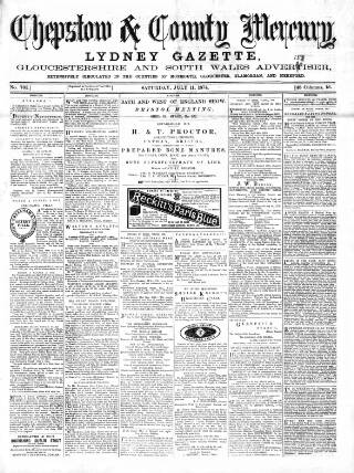 cover page of Chepstow & County Mercury published on July 11, 1874