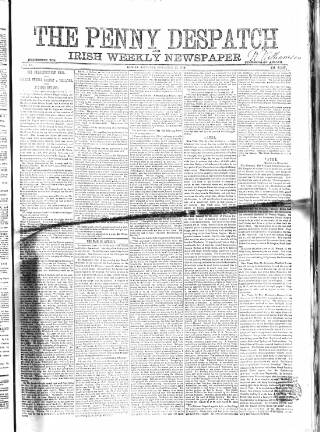 cover page of Penny Despatch and Irish Weekly Newspaper published on November 15, 1862