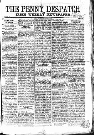 cover page of Penny Despatch and Irish Weekly Newspaper published on December 30, 1865