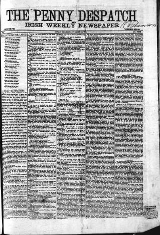 cover page of Penny Despatch and Irish Weekly Newspaper published on November 30, 1867