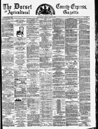 cover page of Dorset County Express and Agricultural Gazette published on July 6, 1880