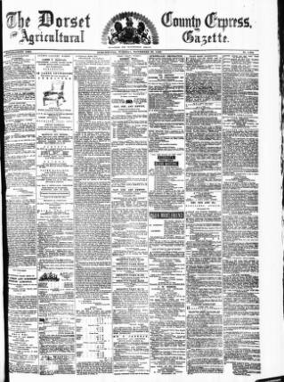 cover page of Dorset County Express and Agricultural Gazette published on November 30, 1880
