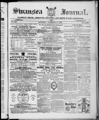 cover page of Swansea Journal published on December 30, 1882