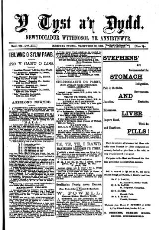 cover page of Y Tyst published on November 30, 1883