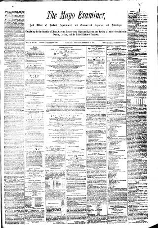 cover page of Mayo Examiner published on November 30, 1878
