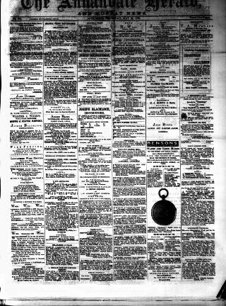 cover page of Annandale Herald and Moffat News published on May 29, 1879