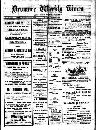 cover page of Dromore Weekly Times and West Down Herald published on November 15, 1913