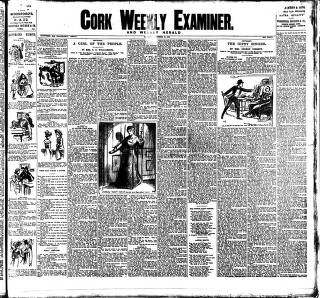 cover page of Cork Weekly Examiner published on November 30, 1901