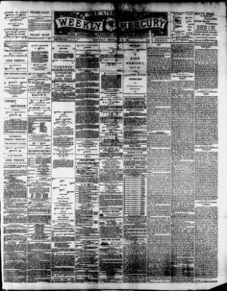 cover page of Liverpool Weekly Mercury published on February 28, 1891