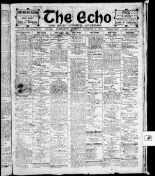cover page of Enniscorthy Echo and South Leinster Advertiser published on November 30, 1918