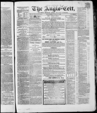 cover page of Anglo-Celt published on February 20, 1869