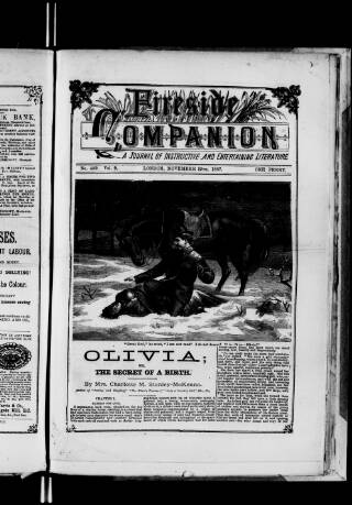 cover page of Fireside Companion published on November 19, 1887