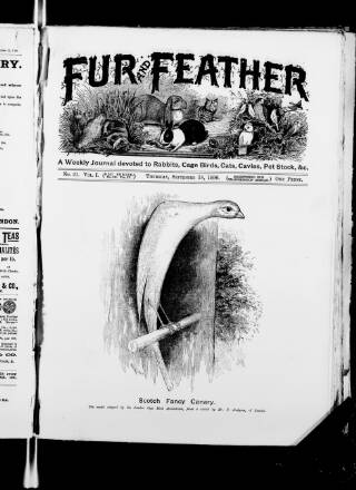 cover page of Fur and Feather published on September 18, 1890