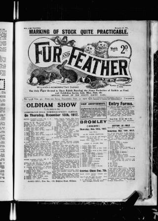 cover page of Fur and Feather published on November 30, 1917