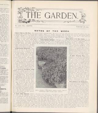 cover page of The Garden published on February 28, 1914
